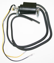 Load image into Gallery viewer, Kawasaki Suzuki Motorcycle Dual Output Type Ignition Coil - 12 Volt | 33410-45012