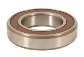Universal 6007-2RS Wheel Bearing
