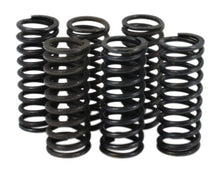 Load image into Gallery viewer, Suzuki GSX600 GSXR600 GSXR750 RF600 Clutch Spring Kit